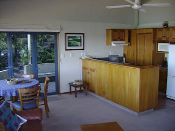 Spacious living and kitchen area